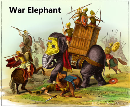 elephant-in-battle-color-n-9t.jpg