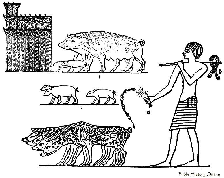 Уроки приручения часть 2. Древний Египет приручение животных. Свинья в древнем Египте. Одомашнивание свиней в древности.
