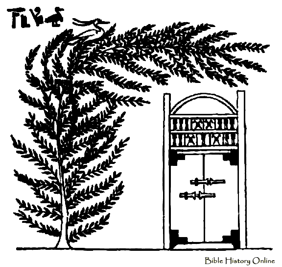 Sacred Tamarisk of Osiris