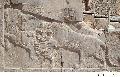 Bas Relief in Persepolis