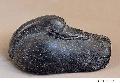 Duck Shaped Bitumen Stone