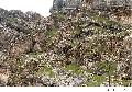 Fortress of the Virgin Bishapour 