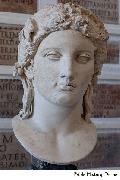 Head of Apollo from a Greek Original of the 4th century