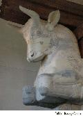 Bull Capital
