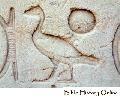 One Egyptian Hieroglyphs 