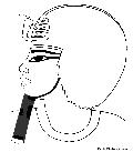 Sketch Of The Portrait Of Amenophis III