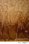 Seti I and Ramses