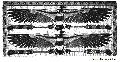 Vultures On The Ceiling Of Temples At Thebes
