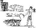 Ancient Egyptian Pigs
