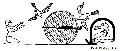 Ancient Egyptian Snares