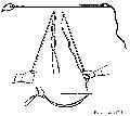 Ancient Egyptian Whips