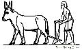 Ploughing Wth Oxen