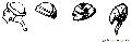 Ancient Turbans