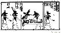 Anubis