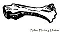 British Battle Axe