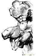 Belvedere Torso