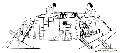 Boat of the Nile