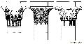 Capitals from Edfou