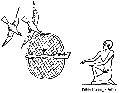 Circular Bird Trap