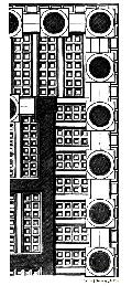 Coffered Pteroma