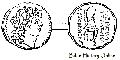 Coin of Tryphon