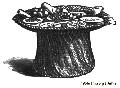 Collation Wicker Table