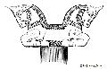 Double Griffin Capital