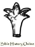 Flower Shaped Arrow-Head
