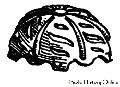 Frame-work of Skull Cap Worn By French Carabineers