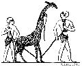 Giraffe From Egyptian Painting