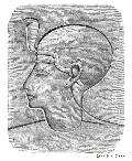 Head of Her Hor