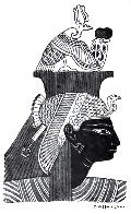 Head of Nefartari Aahmes
