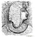 Head of Seti I