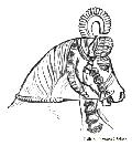 Head Dress of a Riding Horse