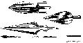 Heads of Javelius