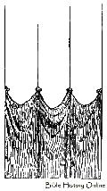 Inner Curtains of the Tabernacle