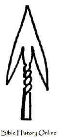 Italian Arrow-Head 