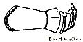 15th Century Mitten