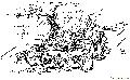 Plan of Alexandria