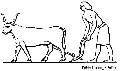 Egyptian Ploughing With Oxen