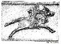 Richly Caparisoned Horse and Rider