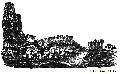 Ruins Of Aradus
