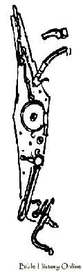 Serpentine And Wheel Lock
