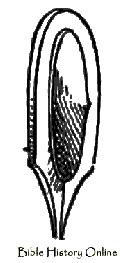 Shield From A Woodcut Of The 15th Century
