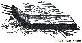 Threshing Machine