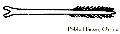 Tyrolese Feathered Cross-bow Bolt