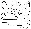 Various Forms of Horns and Trumpets