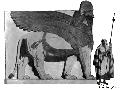 Winged Cherub Lion Head