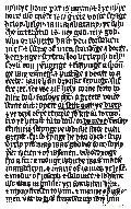 Wyclifs Bible