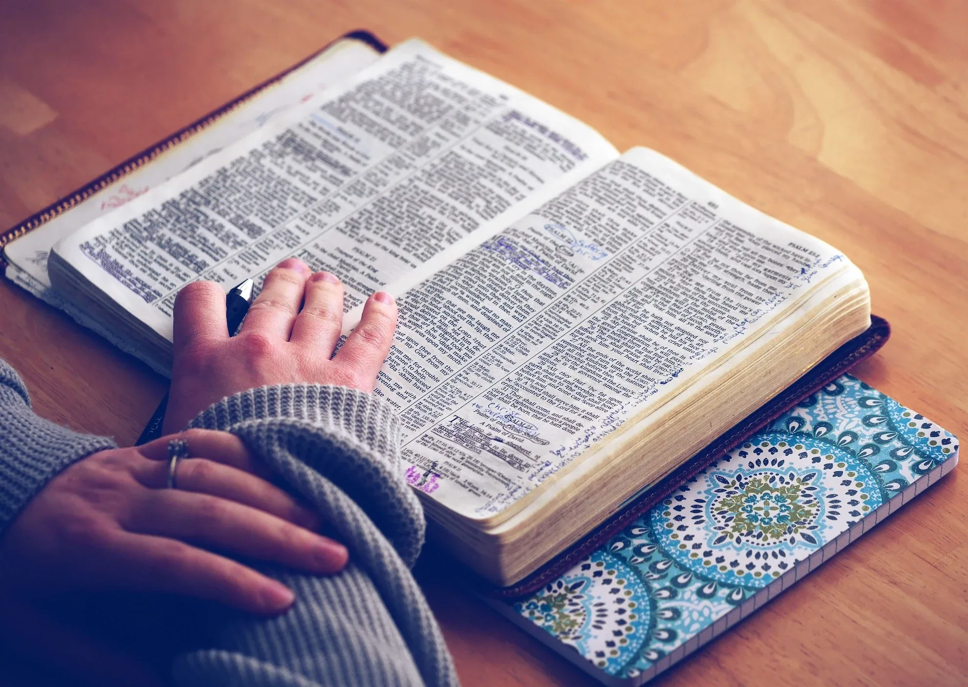 Unearthing the Biblical World: A Historical Journey Through Scripture and Scholarship hero image